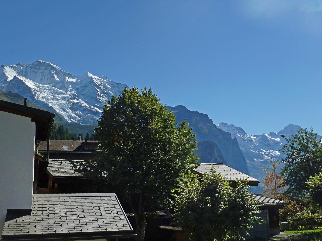 Apartment Goldenhorn Apt-F By Interhome Wengen Exterior photo